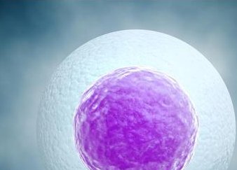 2026广东湛江前5三代试管助孕公司公布，这几家机构入选