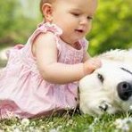 南充市试管婴儿医院哪家成功率高？南充市做试管婴儿费用多少钱？