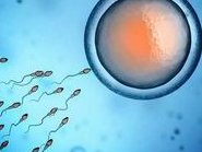 在泰国试管婴儿多少钱？让您明明白白消费