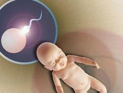 兴仁市试管婴儿医院十强排名参考，附兴仁市十大试管婴儿医院实例